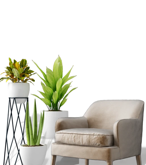 Kitchen Redesign Visualization: Plan Before You Renovate - related article