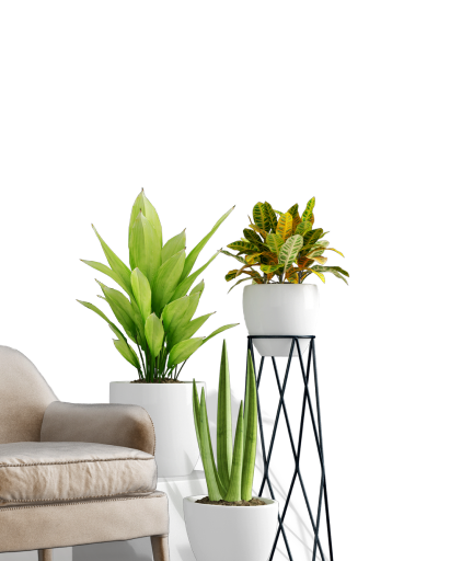 Room Makeover Ideas: Transform Any Space with AI - Makeover AI blog article